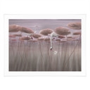 Poster lotusbloemen met zwaan in water in donkerroze - Ms Tiff