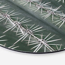 Tableau sur alu-Dibond rond 1X Studio - Cactus