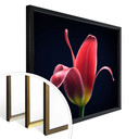 Plakat Grønkjær - Pierwszy tulipan