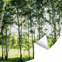 Słoneczny las - Fototapeta okrągła - tapeta flizelinowa/tapeta flizelinowa samoprzylepna