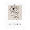 Plakat lineart flower beige - Treechild