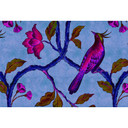 Livingwalls Fototapet Walls by Patel 2 bird of paradise 1