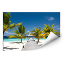 Paradis