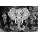 Architects Paper Papier peint photo Atelier 47 Elephant Head
