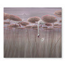 Kookplaatje lotusbloemen met zwaan in water in donkerroze - Ms Tiff
