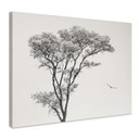 Leinwandbild Minimalistischer Baum in ruhiger Landschaft - Flour