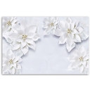 Canvasbillede, Sneklædte planteblomster