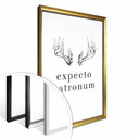 Plakat - Expecto Patronum