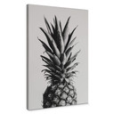 Obraz na płótnie 1X Studio - Ananas