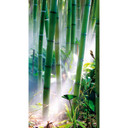 Fototapeta Bamboo Forest - 144x260 cm