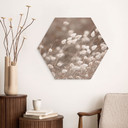 Hexagon Wandbild Zarte Gräser im Herbstlicht - Collins - Alu-Dibond