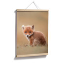 Plakat van Duijn - Baby fox