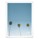 Plakat Palms 02