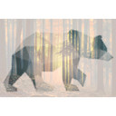 Architects Paper Papier peint photo Atelier 47 Bear Forest animal