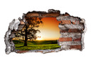 3D Wallsticker solnedgang over bakkerne