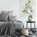 Wallprint W - Ehret - Zistrose
