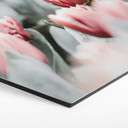 Hexagone - alu-Dibond Annie - Tulipes de printemps