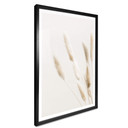 Plakat 1X Studio - Delikatne trawy