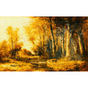Architects Paper Papier peint photo Atelier 47 Forest Painting