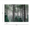 Skogsträd i dimma Fototapet i grågrönt - non-woven tapet Designwalls 2 - 2,55 x 3,5 m