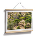 Plakat krajobraz sawanny w Afryce - Hugonnard