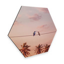 Hexagon Dibond Loose - Hummingbirds in Love
