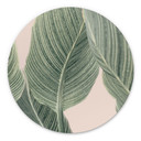 Alu-Dibond Calathea Pflanze - Sisi & Seb - Rund