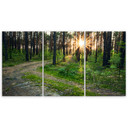 3 stykke lærredstryk, skovnaturvejlandskab