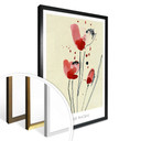 Plakat Papaver Rhoeas