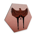 Hexagon Alu-Dibond Kopereffect Ireland - Dark Cardinal
