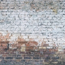 Fototapeta WallBricks3 w kolorze beżowo-brązowym - włóknina Designwalls 2 - 2,55 x 3,5 m