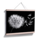 Plakat Dandelion