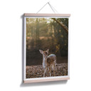 Plakat Fawn