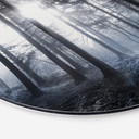 Tableau en alu-Dibond Rayons de soleil dans la forêt bleue - Rond