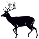 Sticker mural - Cerf 03