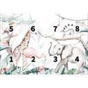 Papierbehang Kvilis - Jungle Friends