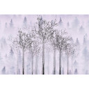 Architects Paper Papier peint photo Atelier 47 Trees Artwork forêt