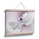 Plakat Disher - Anemone Breeze