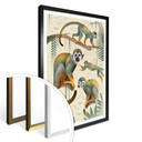 Plakat Brown - Małpy wiewiórki
