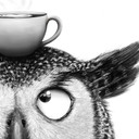 Papier peint photo Hibou amusant avec café - Korenkova