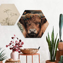 Hexagon Holzbild Treechild - Hochlandkuh mit Blütenkranz