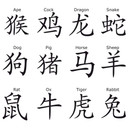 Muursticker Chinese Dierenriem
