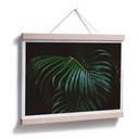 Plakat Botaniczny 04