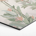 Sekskantet billede Tropisk skov med kakaduer - Bloomery Decor - Aluminium dibond
