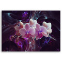 Canvasbillede, Hvide orkidéblomster planter