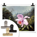 Plakat Heade - Martwa natura z orchideą i kolibrami