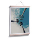 Plakat Palms 03