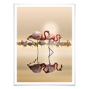 Plakat Osman - Flamingo