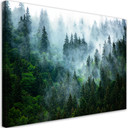 Canvasbillede, Skov i tåge