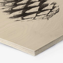 Hexagon Hout Dennenappels